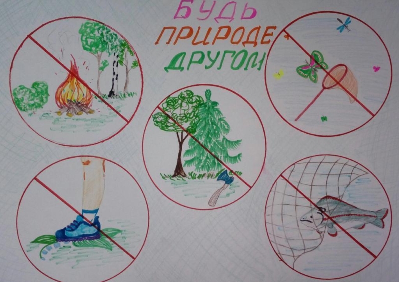 Познавательная программа «Мы природу очень любим, обижать ее не будем» Культура Калужской области