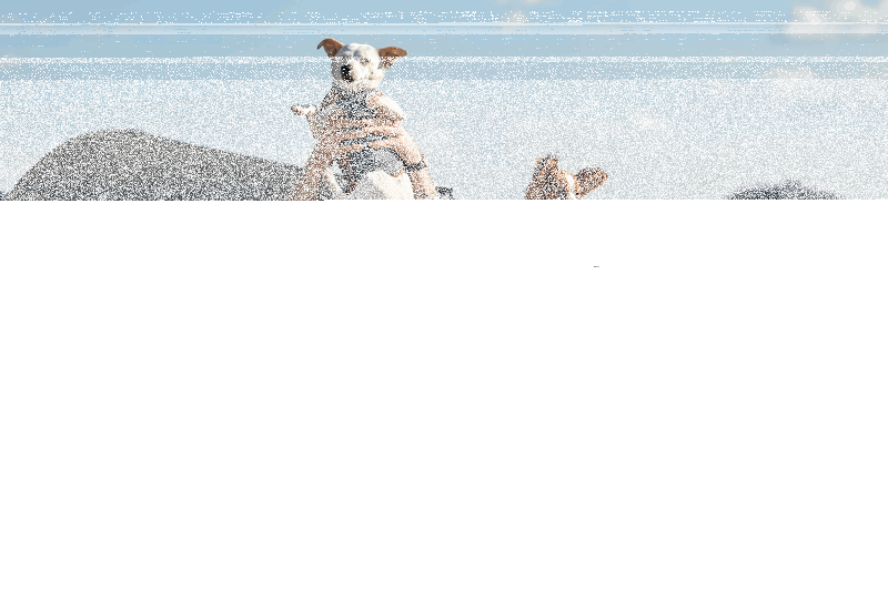 Показ фильма «Моя собака-Космонавт» Культура Калужской области