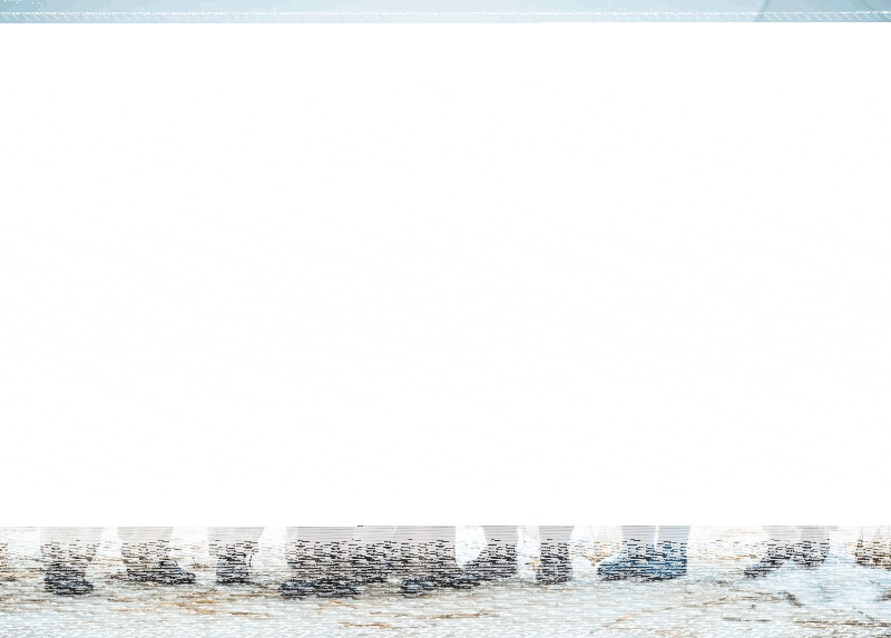 Показ фильма «Ангелы Ладоги» Культура Калужской области