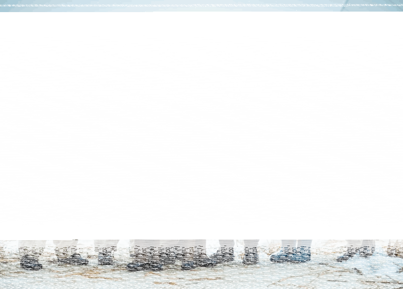 Показ фильма «Ангелы Ладоги» Культура Калужской области