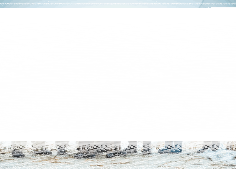 Показ фильма «Ангелы Ладоги» Культура Калужской области