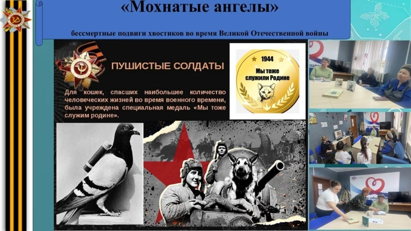 «Пушистые солдаты» Культура Калужской области