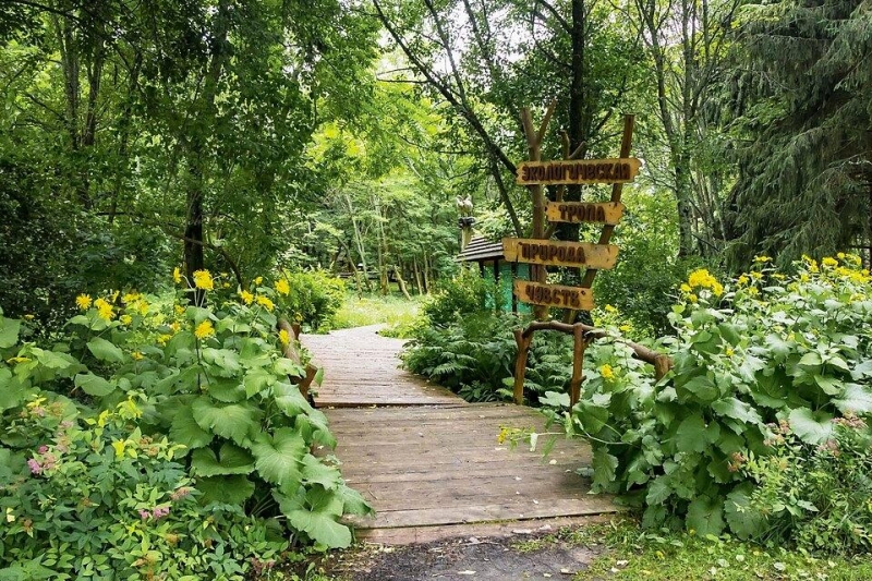 «Экологическая тропа» Культура Калужской области