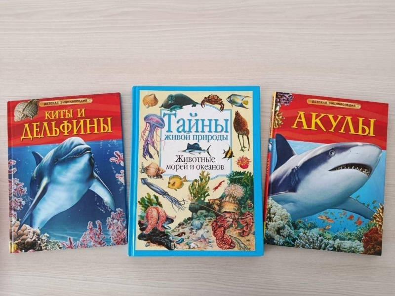 «Загадочный мир океана» Культура Калужской области