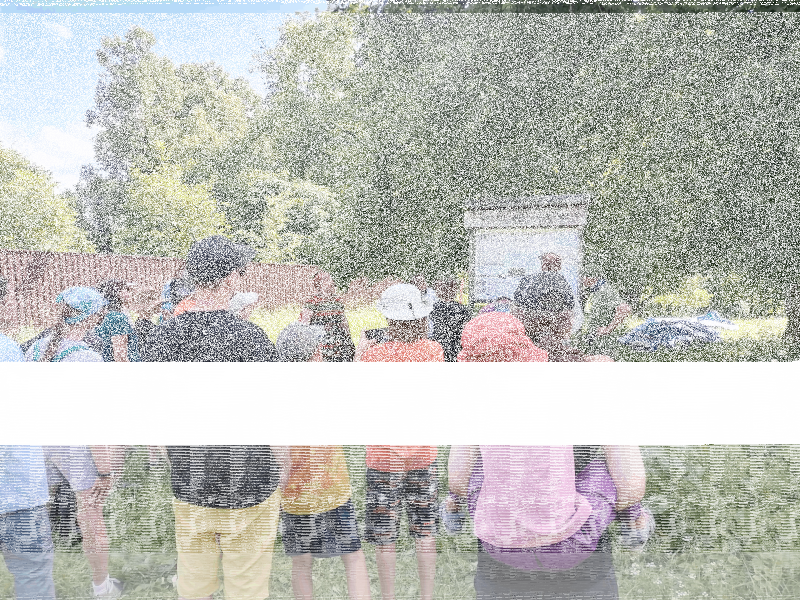 🌼 Прогулка-поход в честь Дня семьи, любви и верности! 🌼 Культура Калужской области