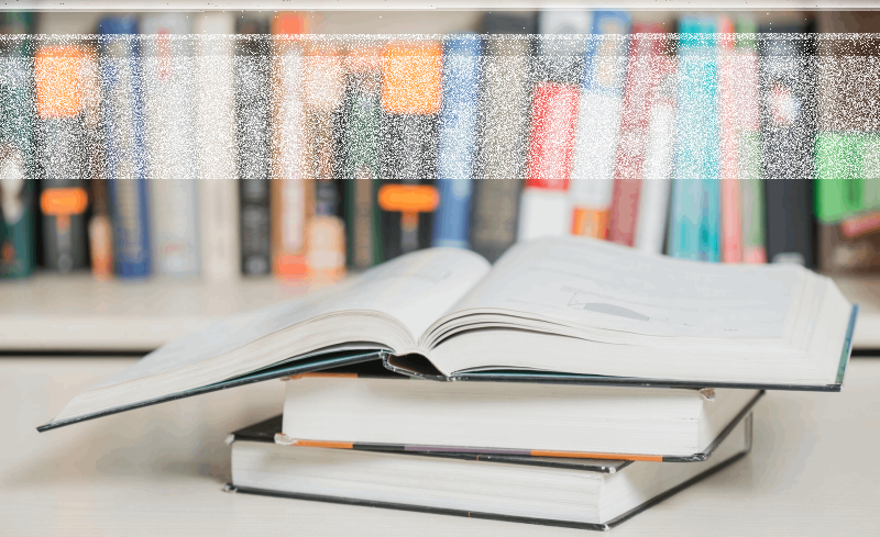 Познавательно-игровая программа — «В страну знаний вместе с книгой» Культура Калужской области