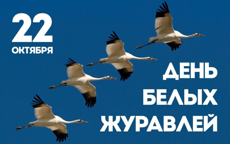 «День белых журавлей» Культура Калужской области