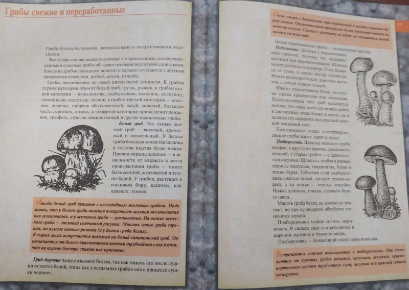 Книжная выставка «Грибное лукошко» Культура Калужской области
