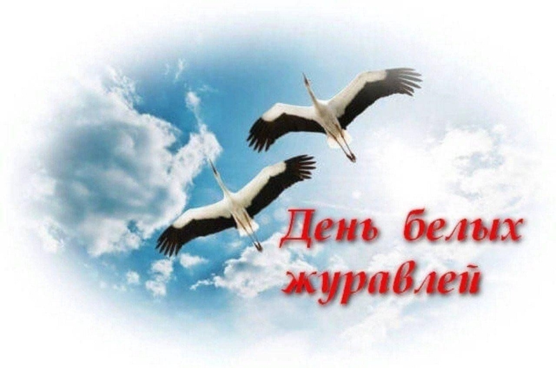 «Летят над миром журавли» Культура Калужской области