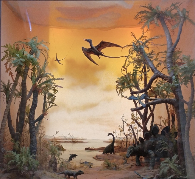 Экскурсия «Палеонтологическая коллекция музея-заповедника. Развитие органического мира» Культура Калужской области