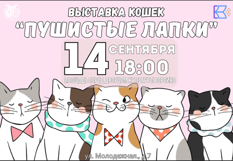 Выставка-конкурс кошек «Пушистые лапки» Культура Калужской области