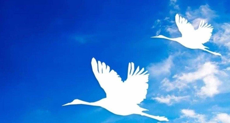 «День белых журавлей» Культура Калужской области