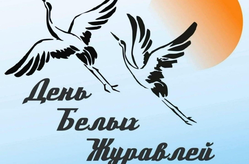 «Журавли нашей памяти». Культура Калужской области