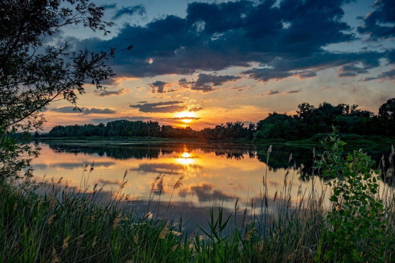 Программа «Я здесь живу, и край мне этот дорог» Культура Калужской области