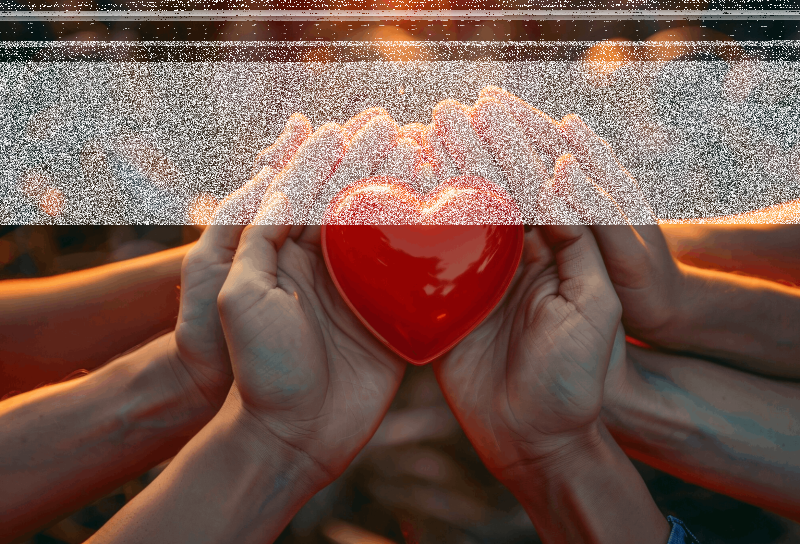 Встреча — «Добровольцы России» Культура Калужской области