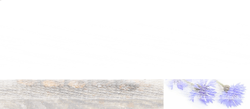 Поэтический час «Огонь войны души не сжег» Культура Калужской области