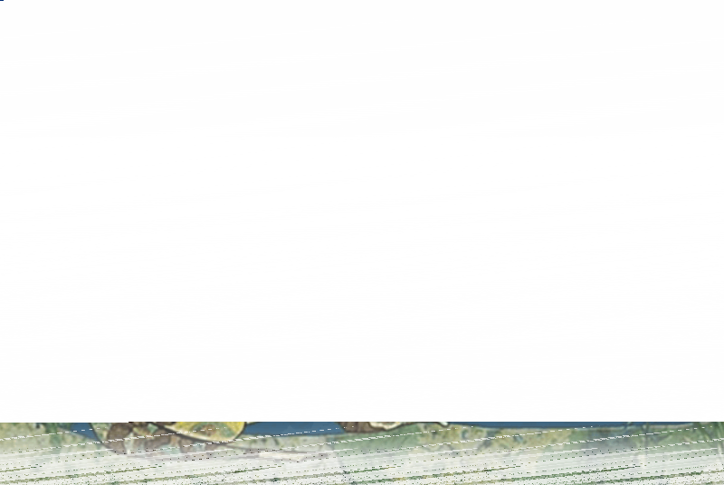 Сказки с оркестром. Русская народная сказка «Василиса Прекрасная». Читает Павел Любимцев Культура Калужской области