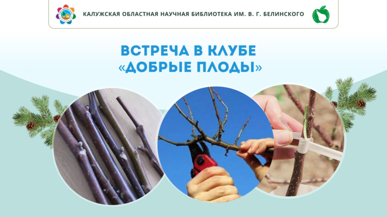 Встреча в клубе "Добрые плоды" Культура Калужской области