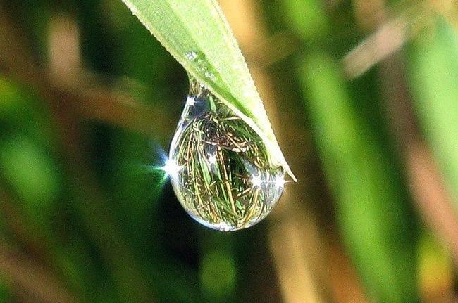 «В капле воды отражается мир» Культура Калужской области